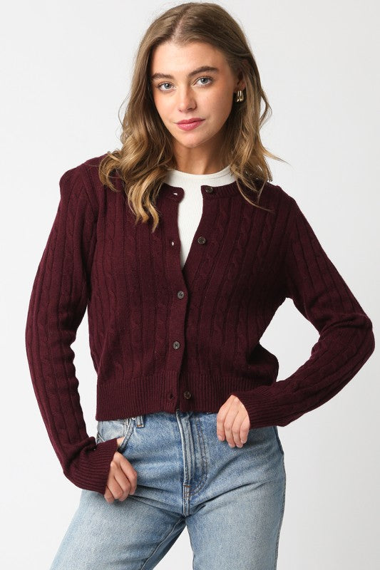 Espresso Cable Knit Cropped Sweater Top