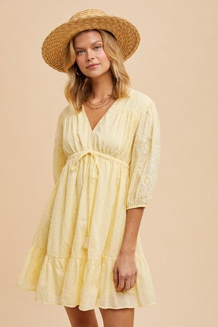 EMBROIDERED SWISS DOT MINI DRESS