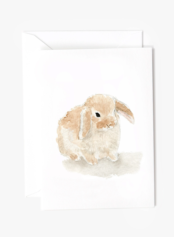 Emily Lex Mini Notecards