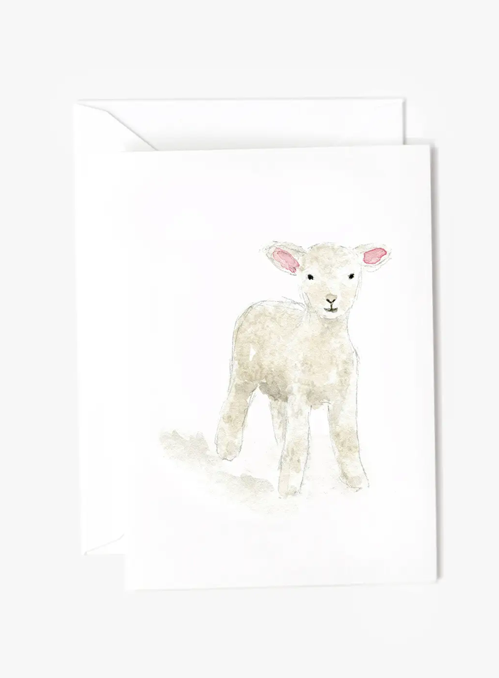 Emily Lex Mini Notecards
