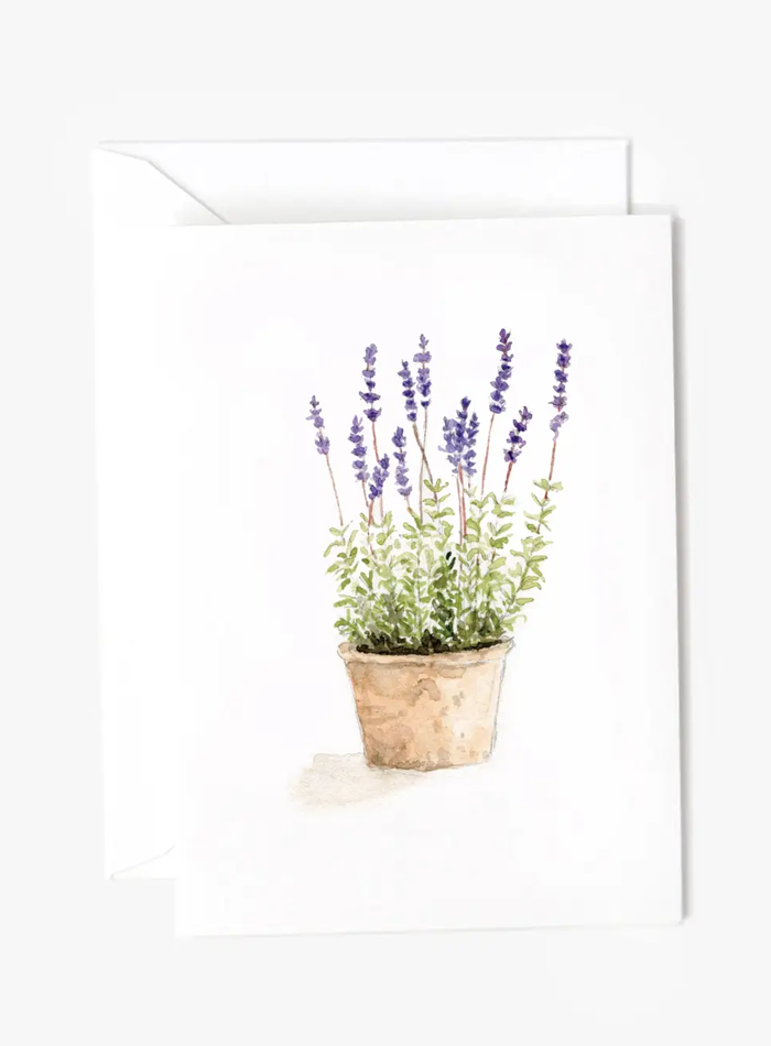 Emily Lex Mini Notecards
