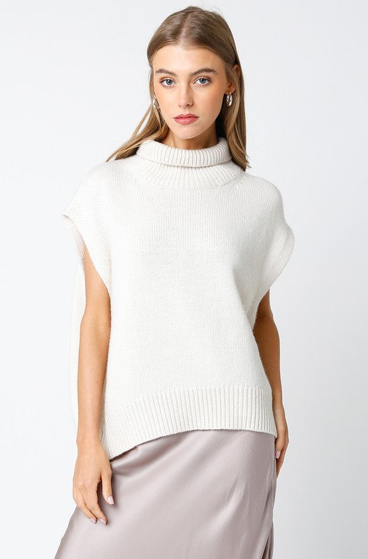 Beige Turtletneck Sweater Top