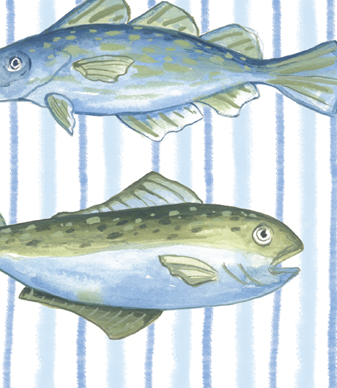 Three Fish greeting card 