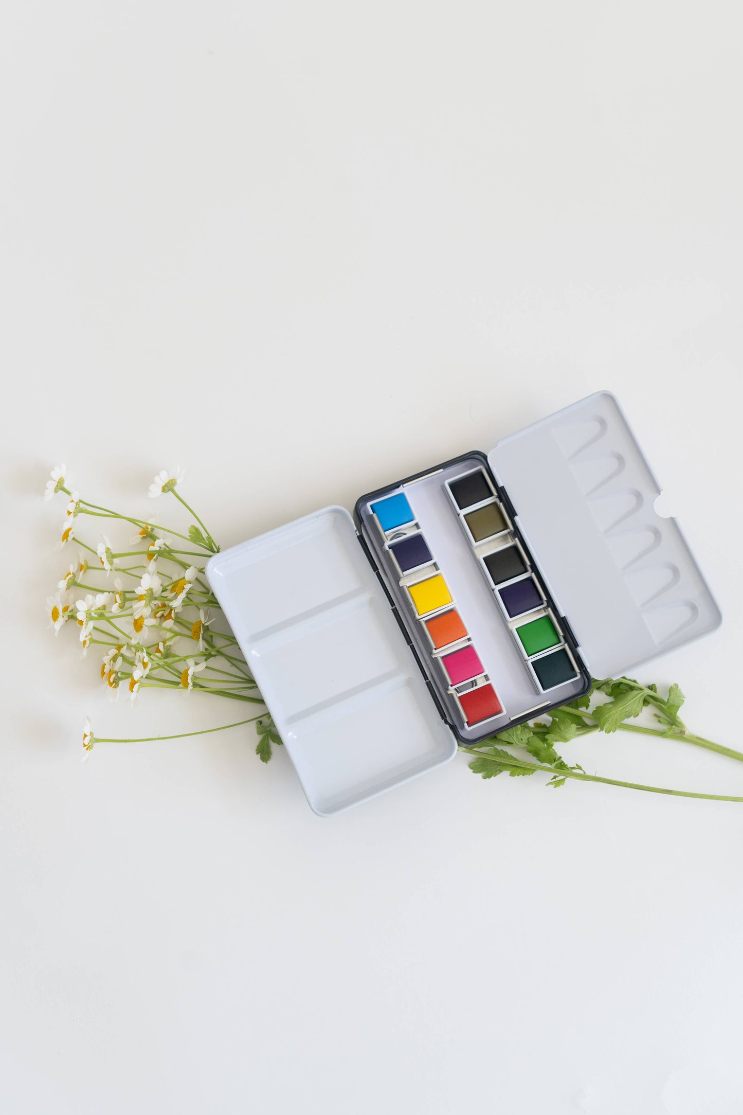 Primary Travel Watercolor Palette