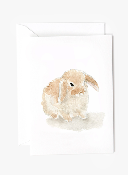 Emily Lex Mini Notecards