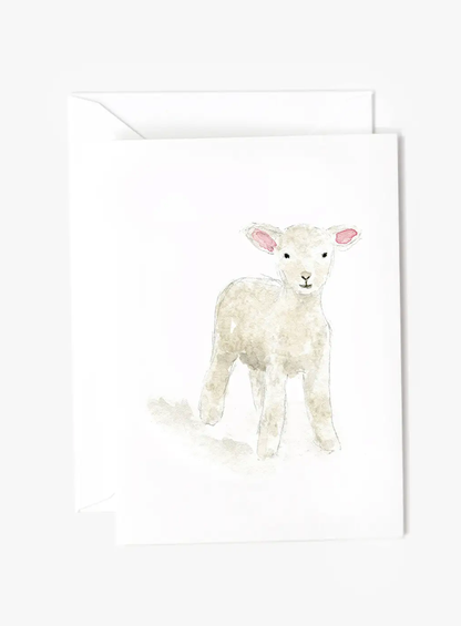 Emily Lex Mini Notecards